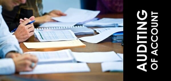 StatutoryAudit